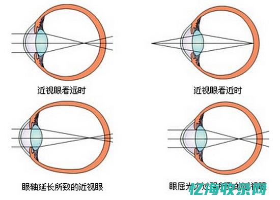 焦点领动是正规还是仿 (焦点领动是正规公司吗)