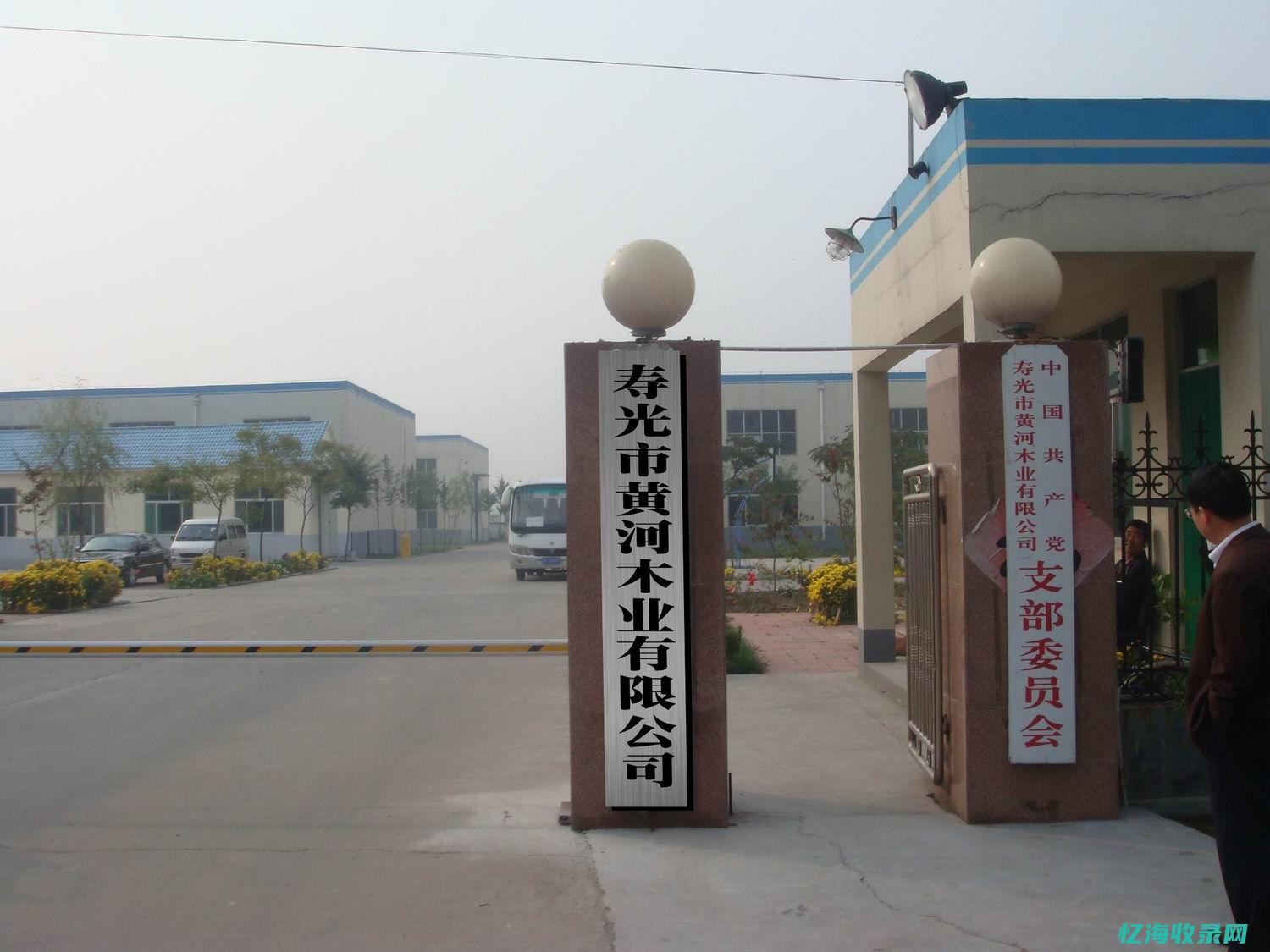 公司网站seo托管