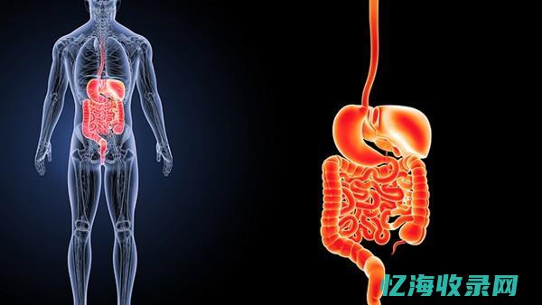 尿胆原是结合胆红素还是非结合胆红素