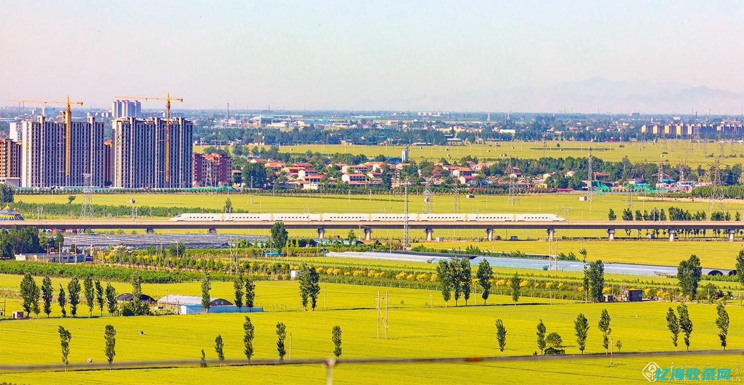 石家庄网站色情入口