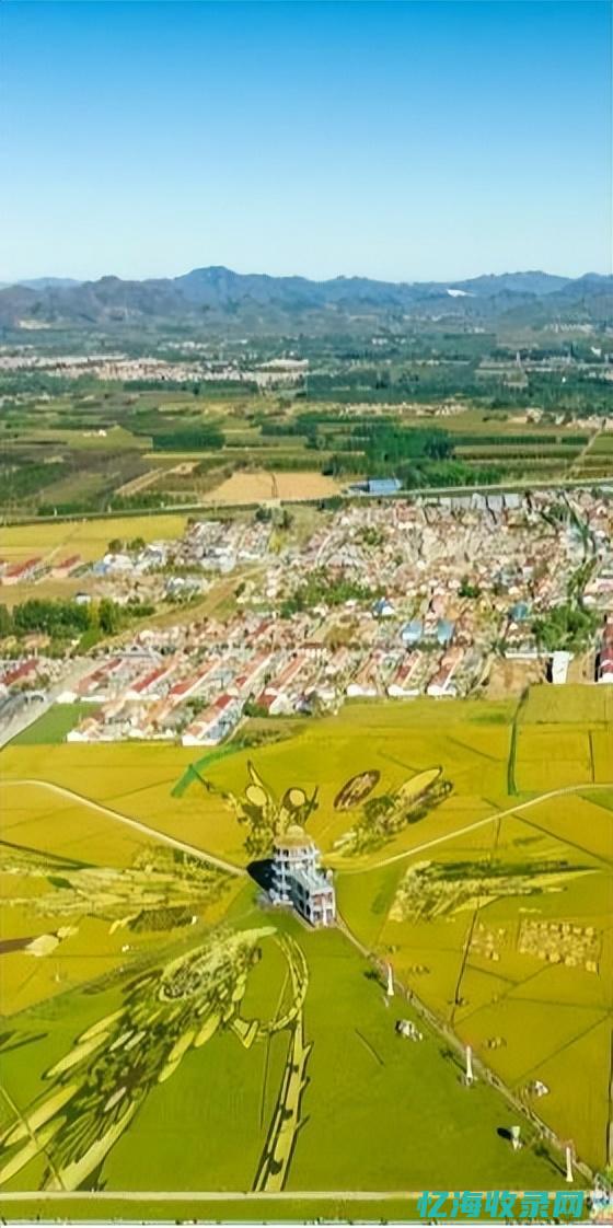 唐山seo全网营销