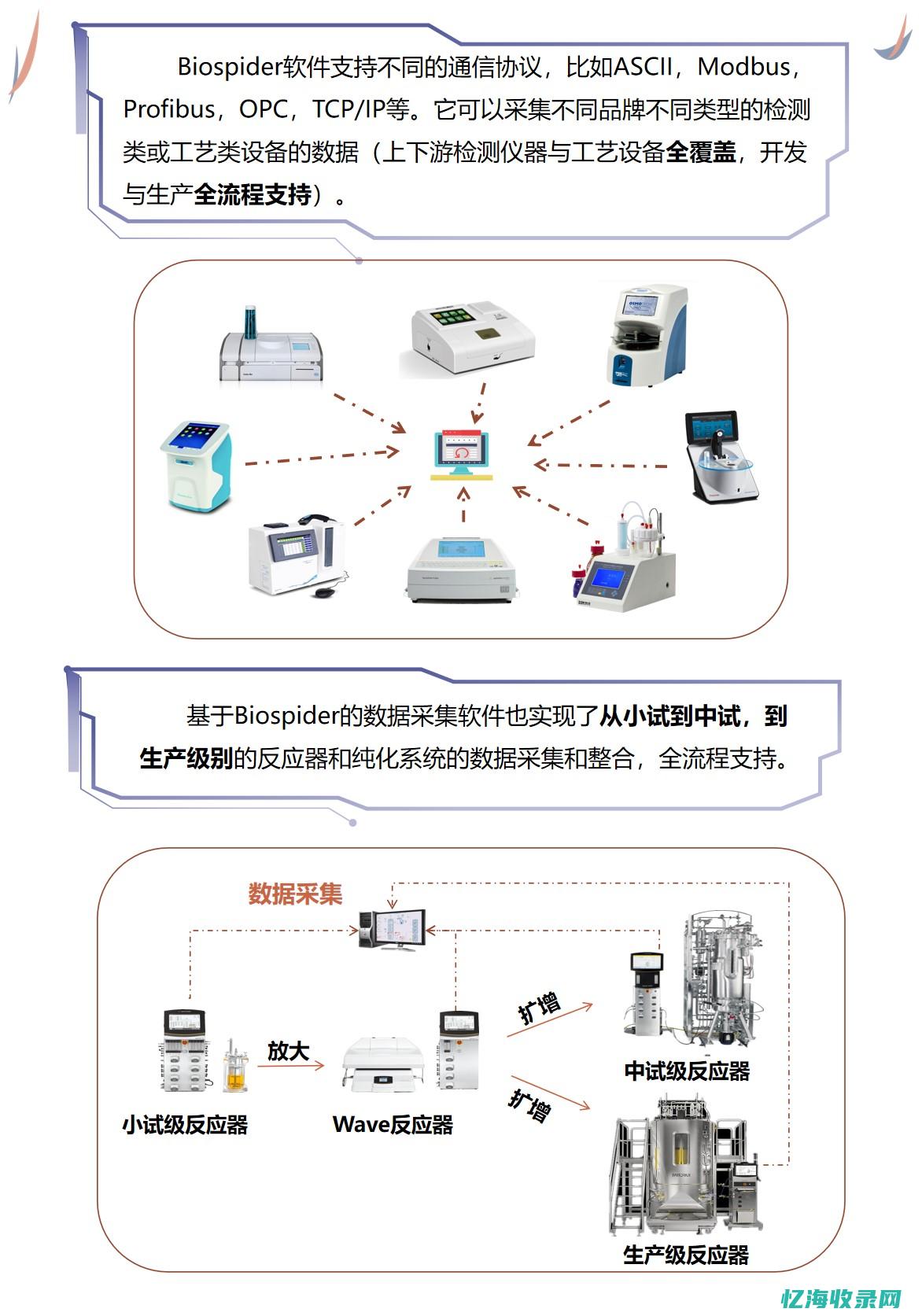 上海网络设计薪资多少