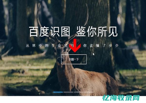 网页百度识图 (百度识图pc网页)