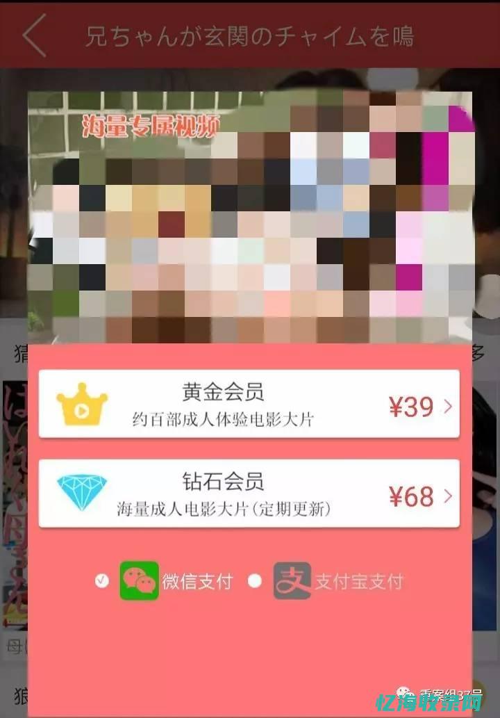 视频网站色情软件 (视频网站色情重口在线观看)