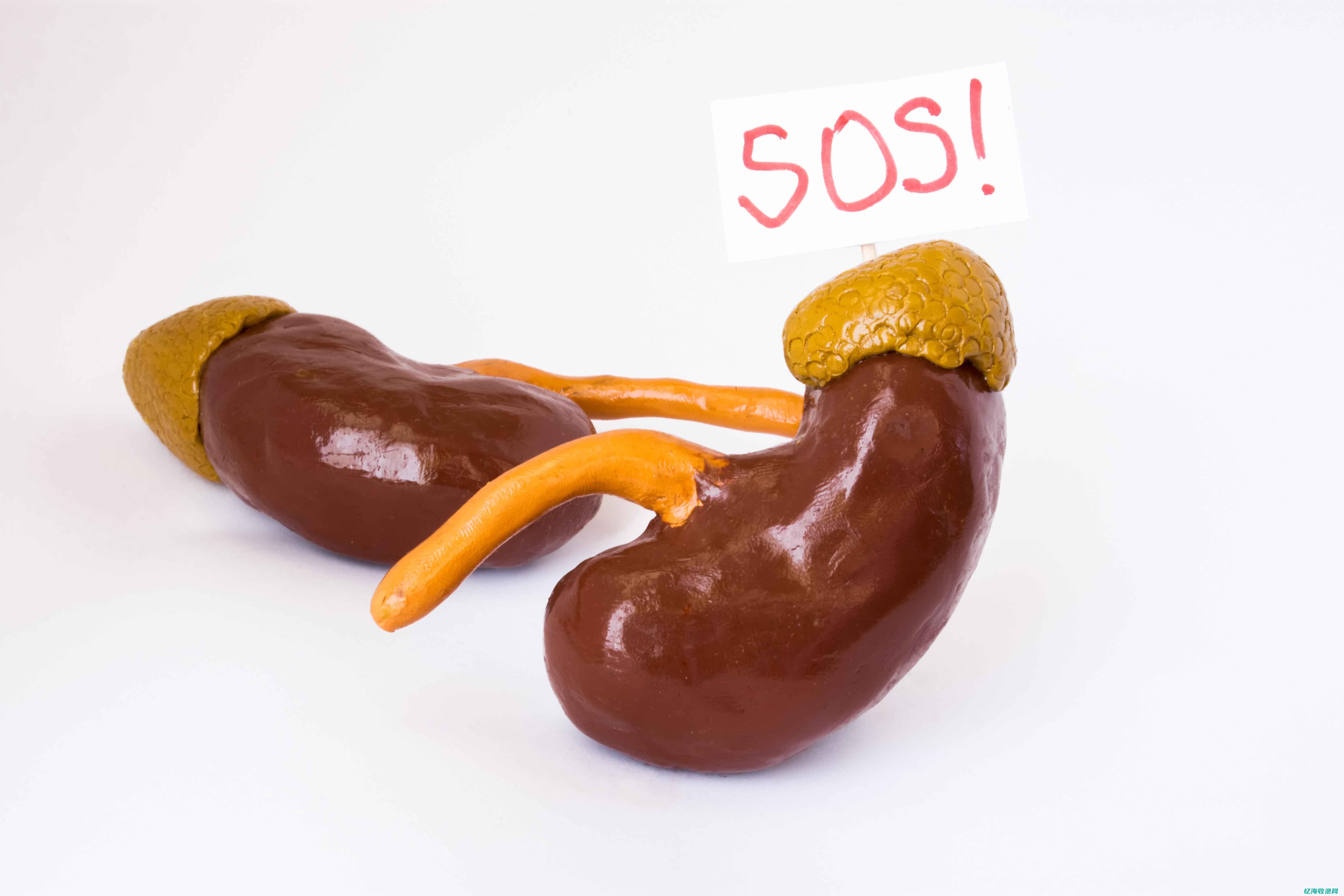 成都好的肾病公立医院