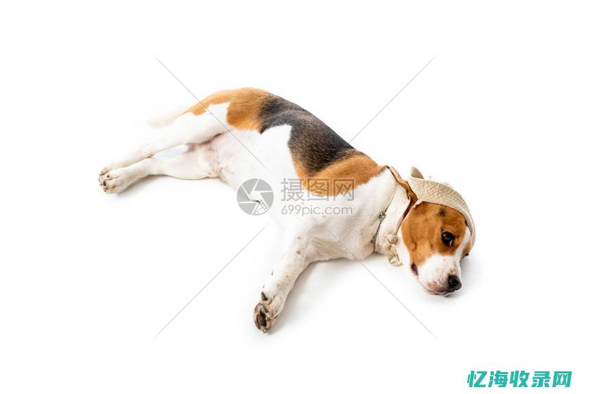 百度白帽子 (白 帽子)