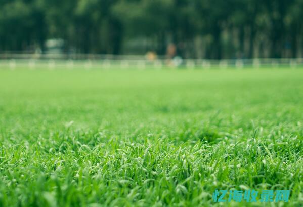 濮阳市百度 (濮阳市百度百科)