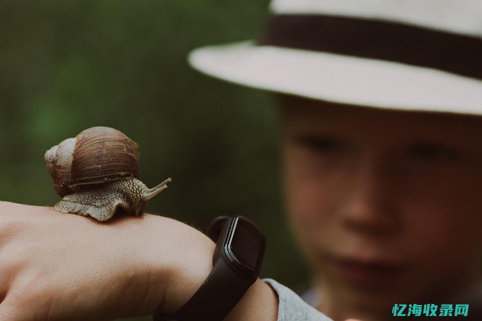 百度推广和抖音推广哪个好