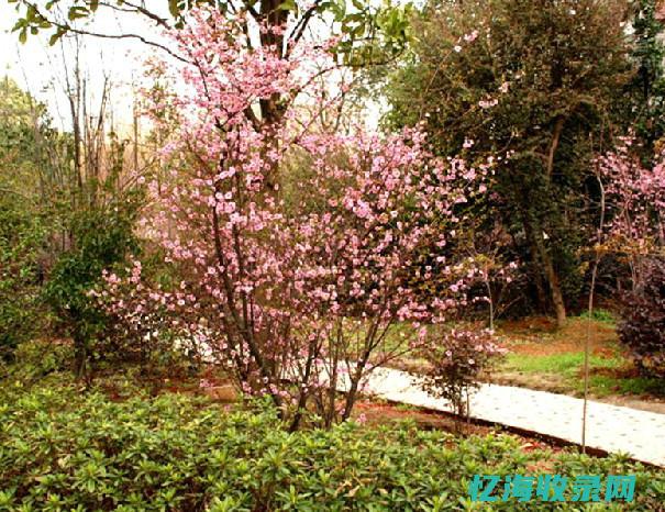 HTML对属性名称的排列顺序没有特别的要求对吗 (html对属性名称的排列顺序没有特别的要求)