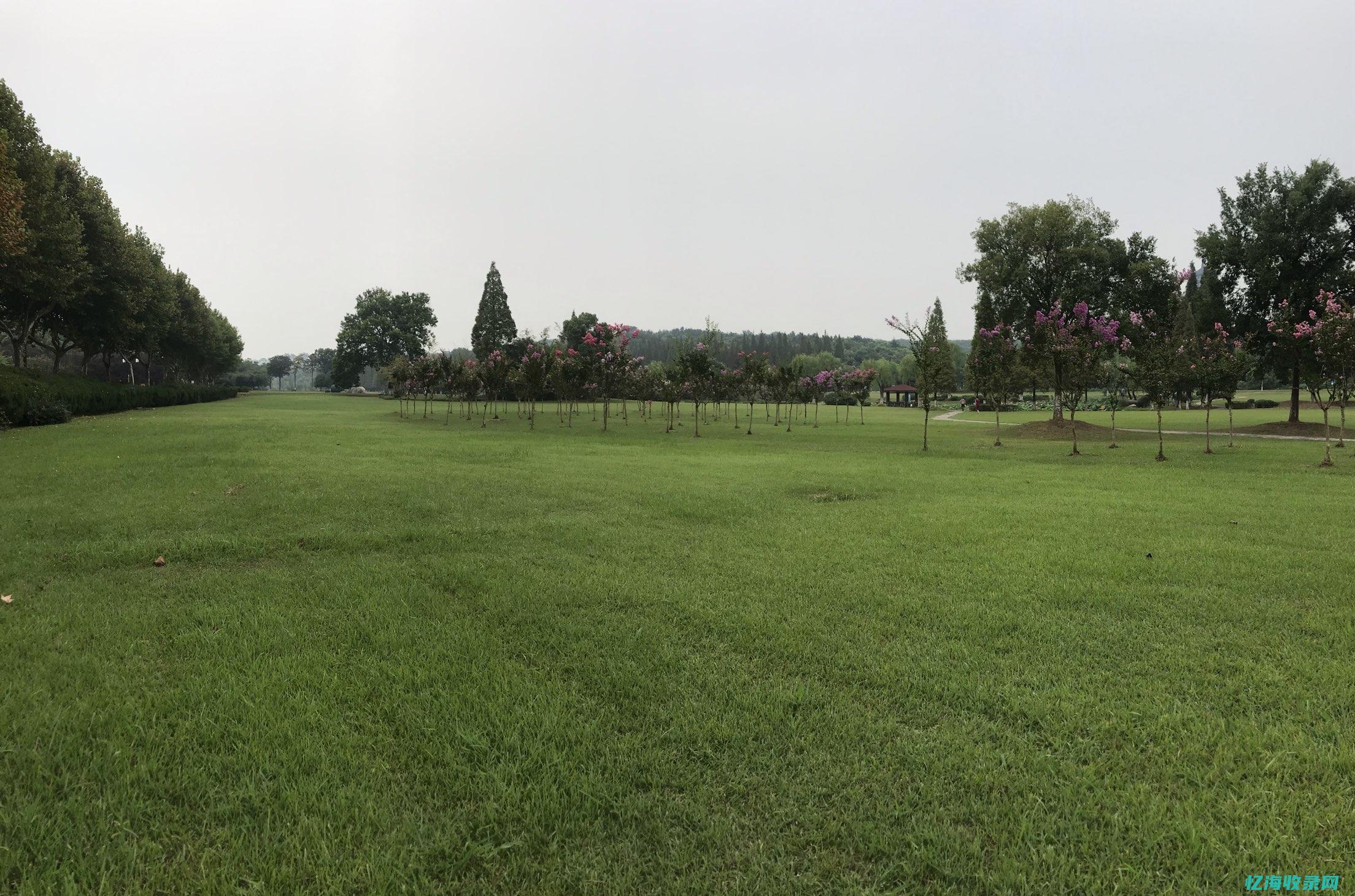 龙岗森林公园在哪里