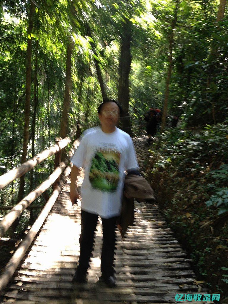 龙岗森林王国亲子乐园在哪里