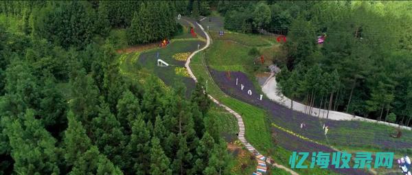 龙岗森林王国亲子乐园