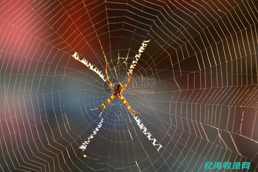 蜘蛛森林传送点