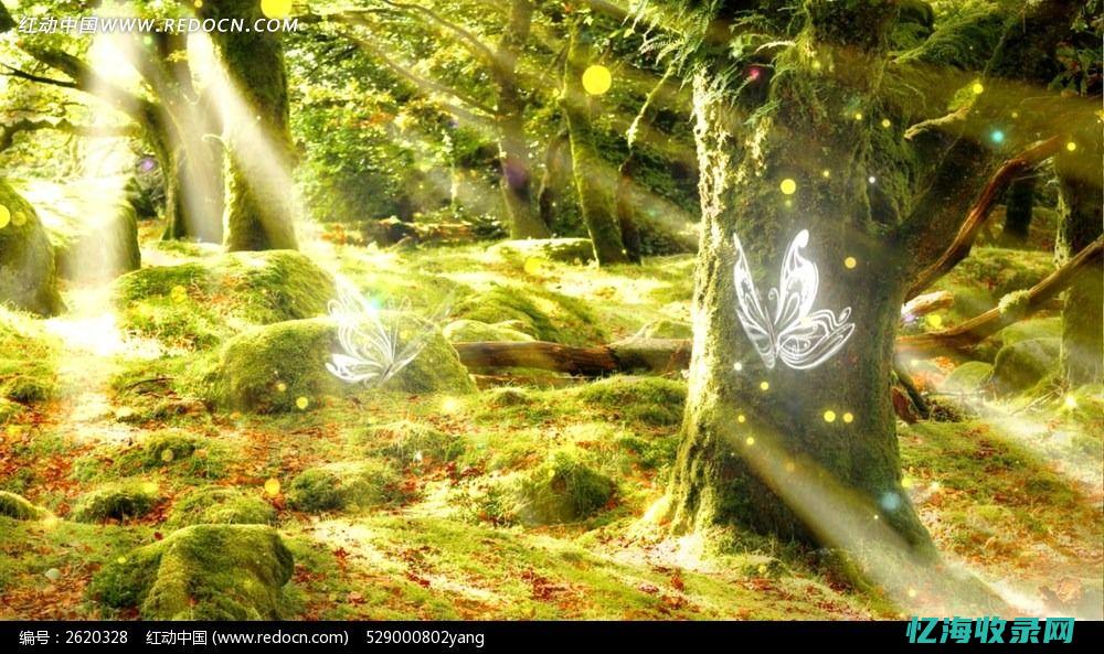 动态背景图高清唯美