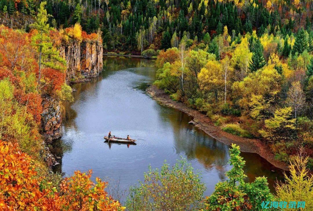 中国的森林有哪些 (中国的森林有多大)