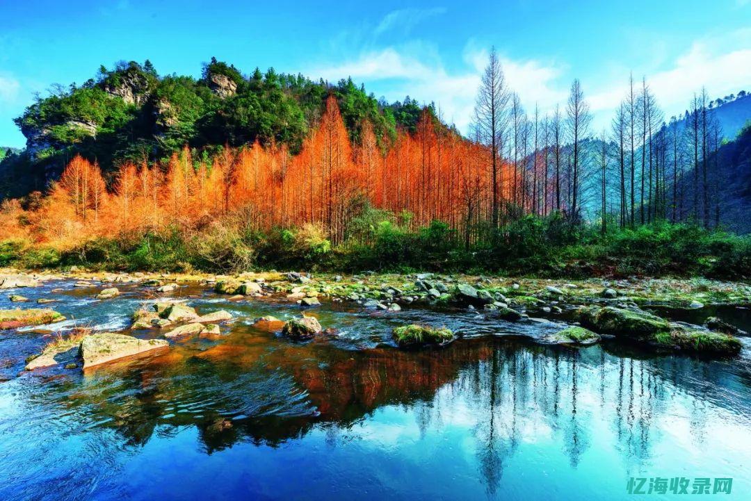 中国的森林有多大