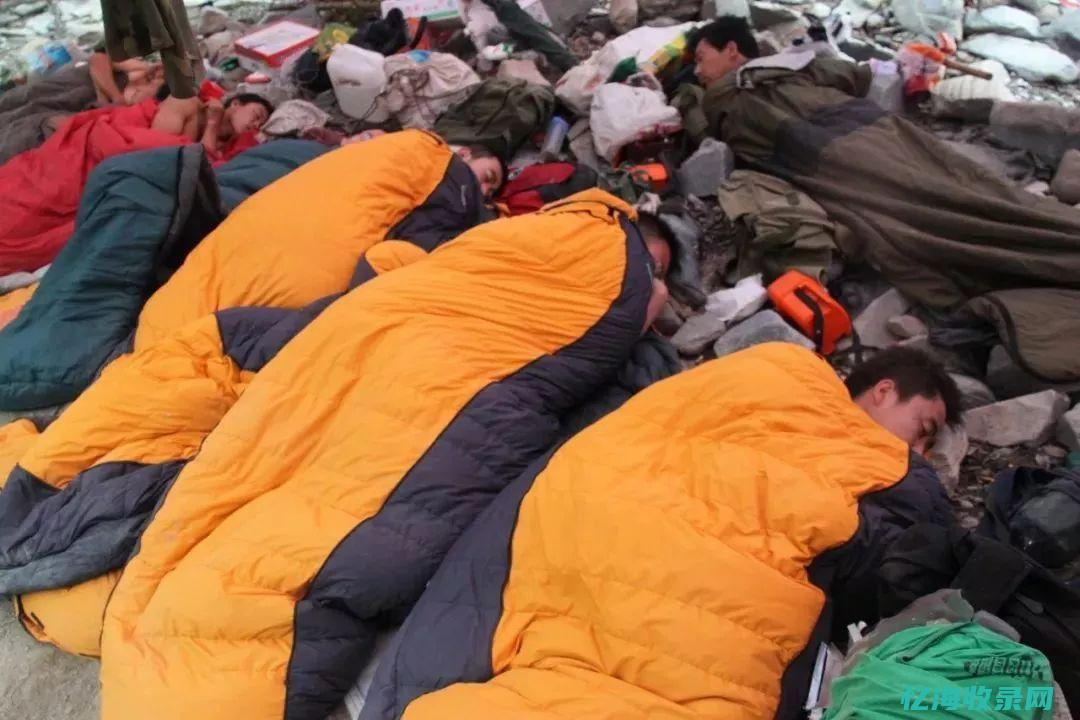 中国的森林覆盖率在全世界排名 (中国的森林覆盖率)