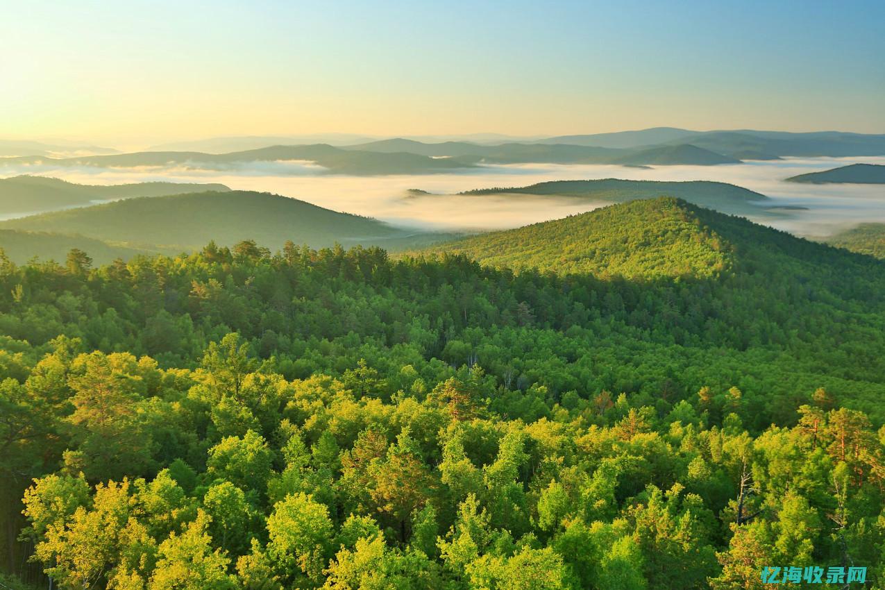 中国的森林覆盖率在全排名