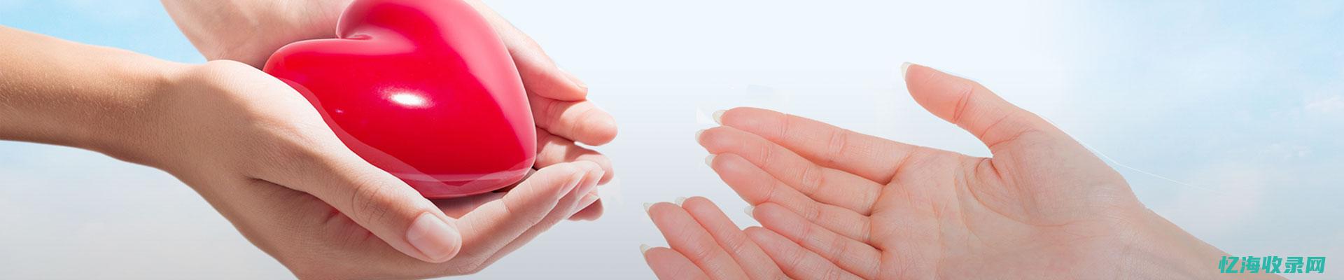 网站hse (网站h色一区)