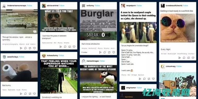 网站外的seo (网站外网)