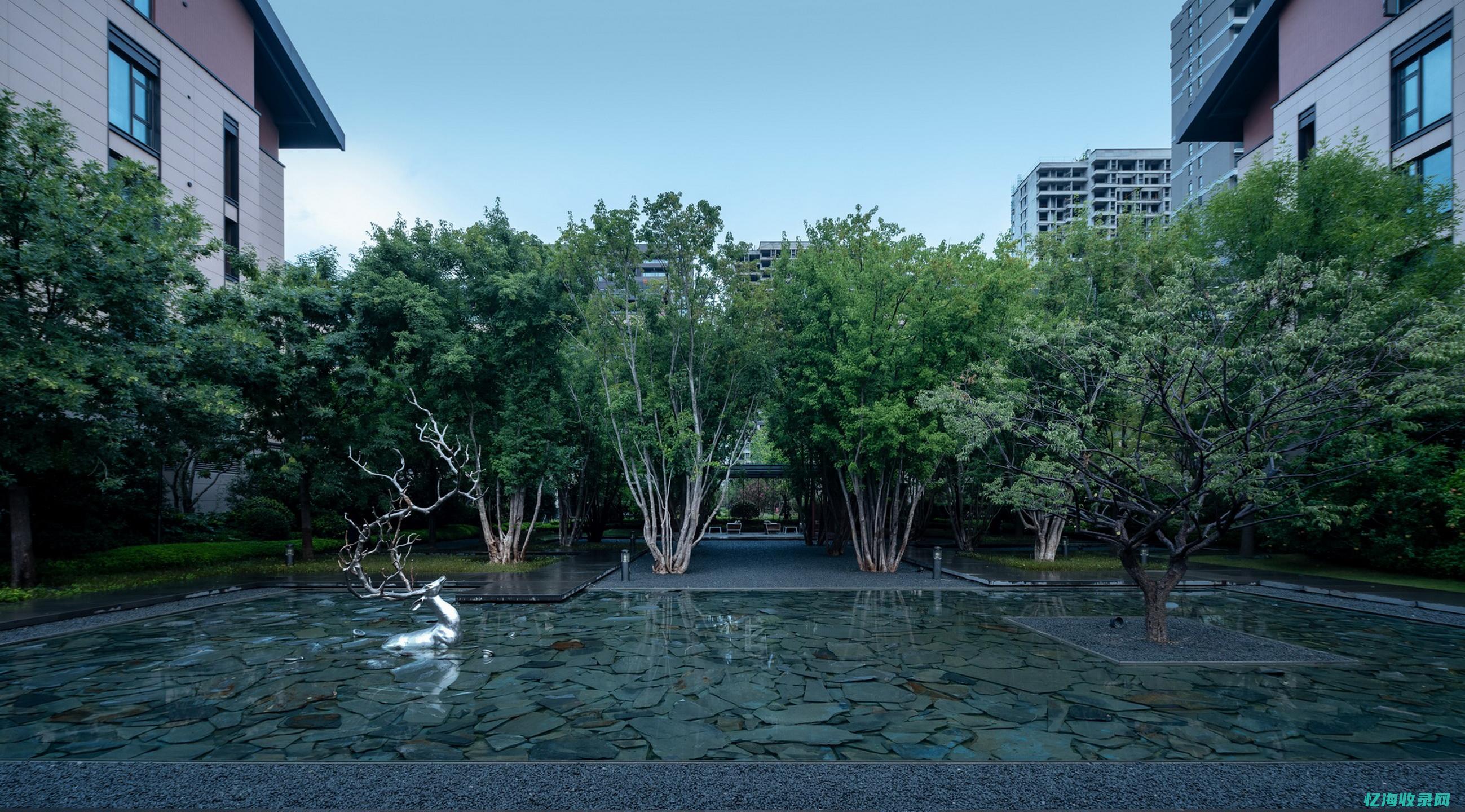 新浪博客森林画册图微博