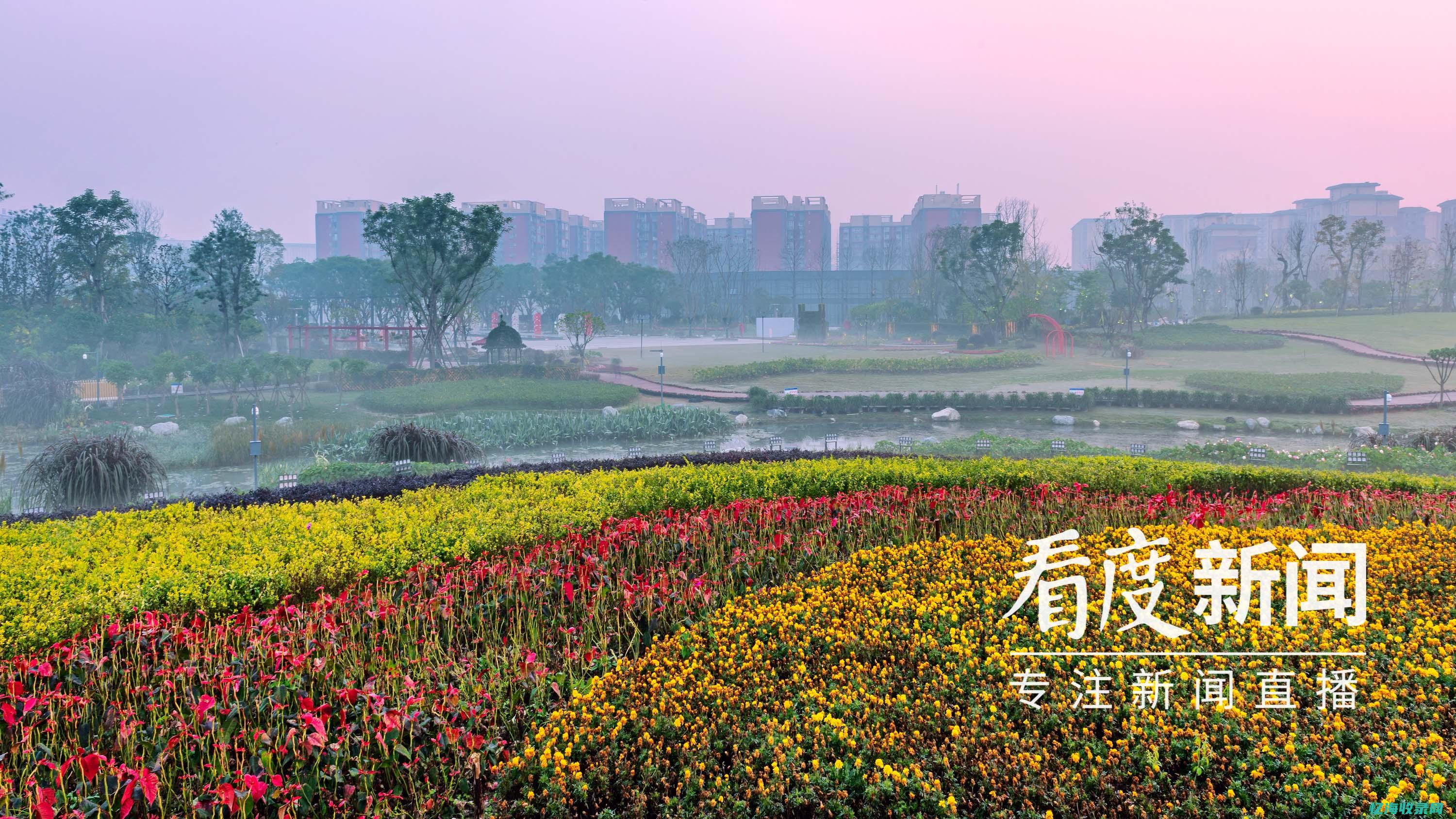 成都做人流手术价格