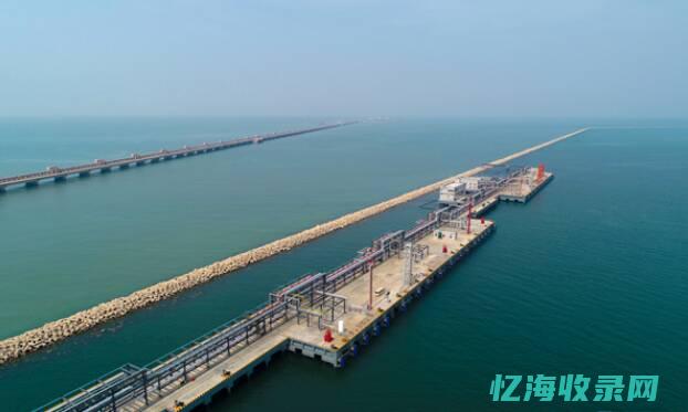 东营网站seo (东营网站建设合同)