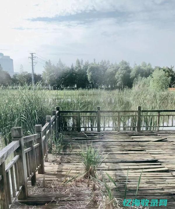 东莞做人流 (东莞正规人流费用)