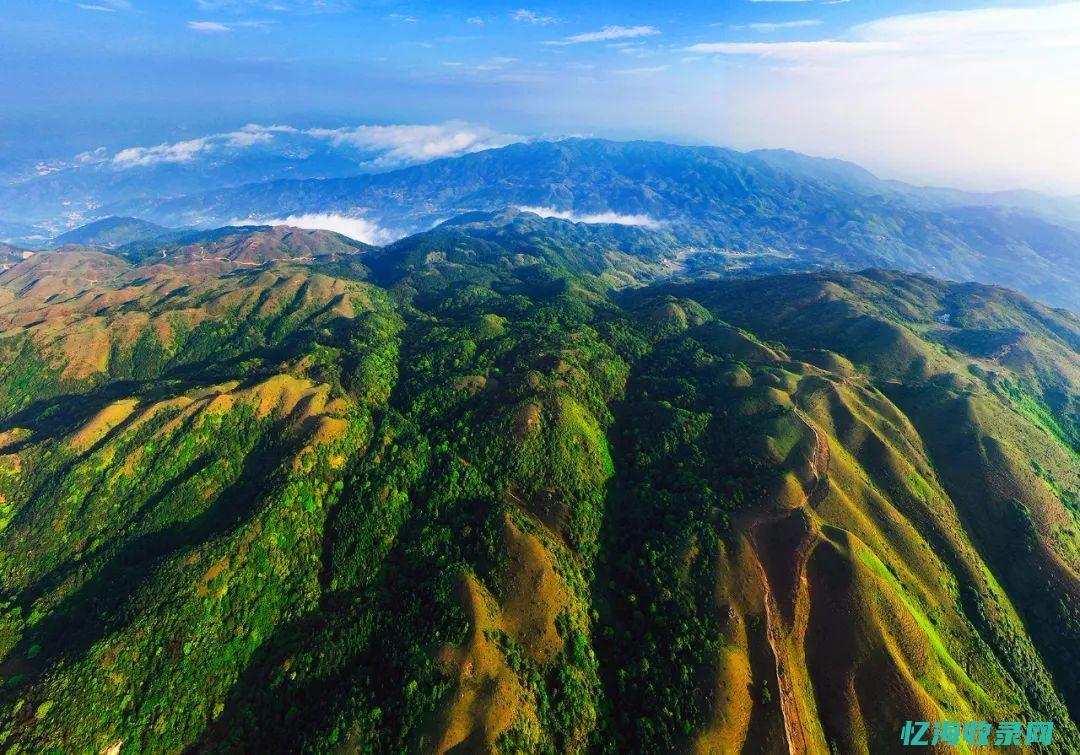 阳江外贸公司企业名录