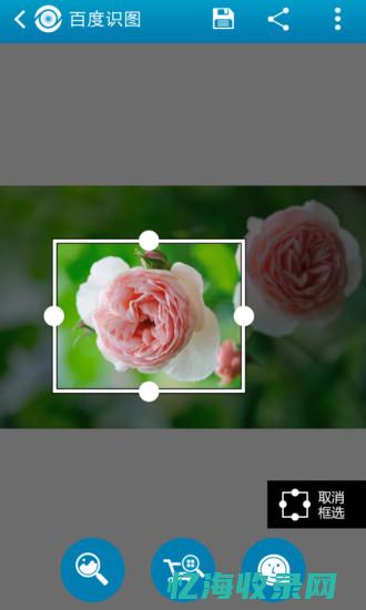 网页版在线使用一