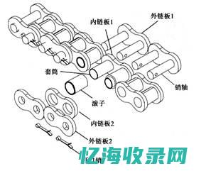 内链板和外链板 (内链板和外链板是如何形成的)