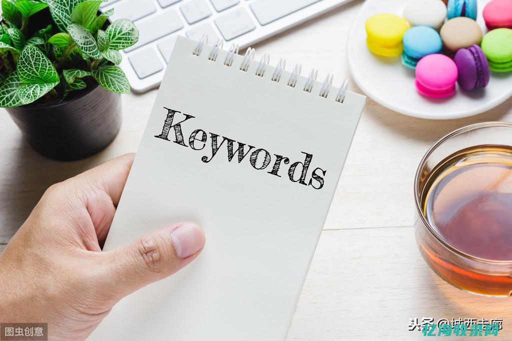 seo按天收费效果怎么样