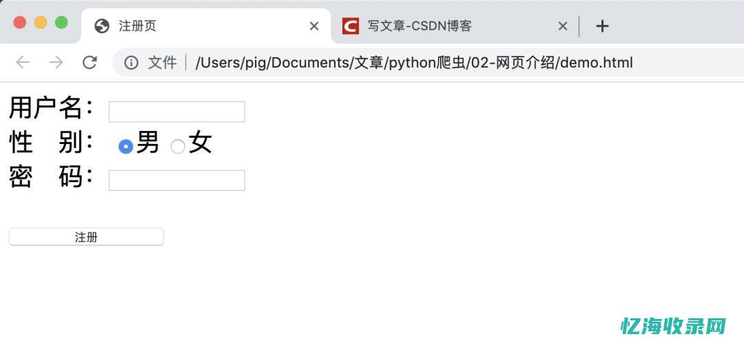 网站结构是什么 (网站结构分为)