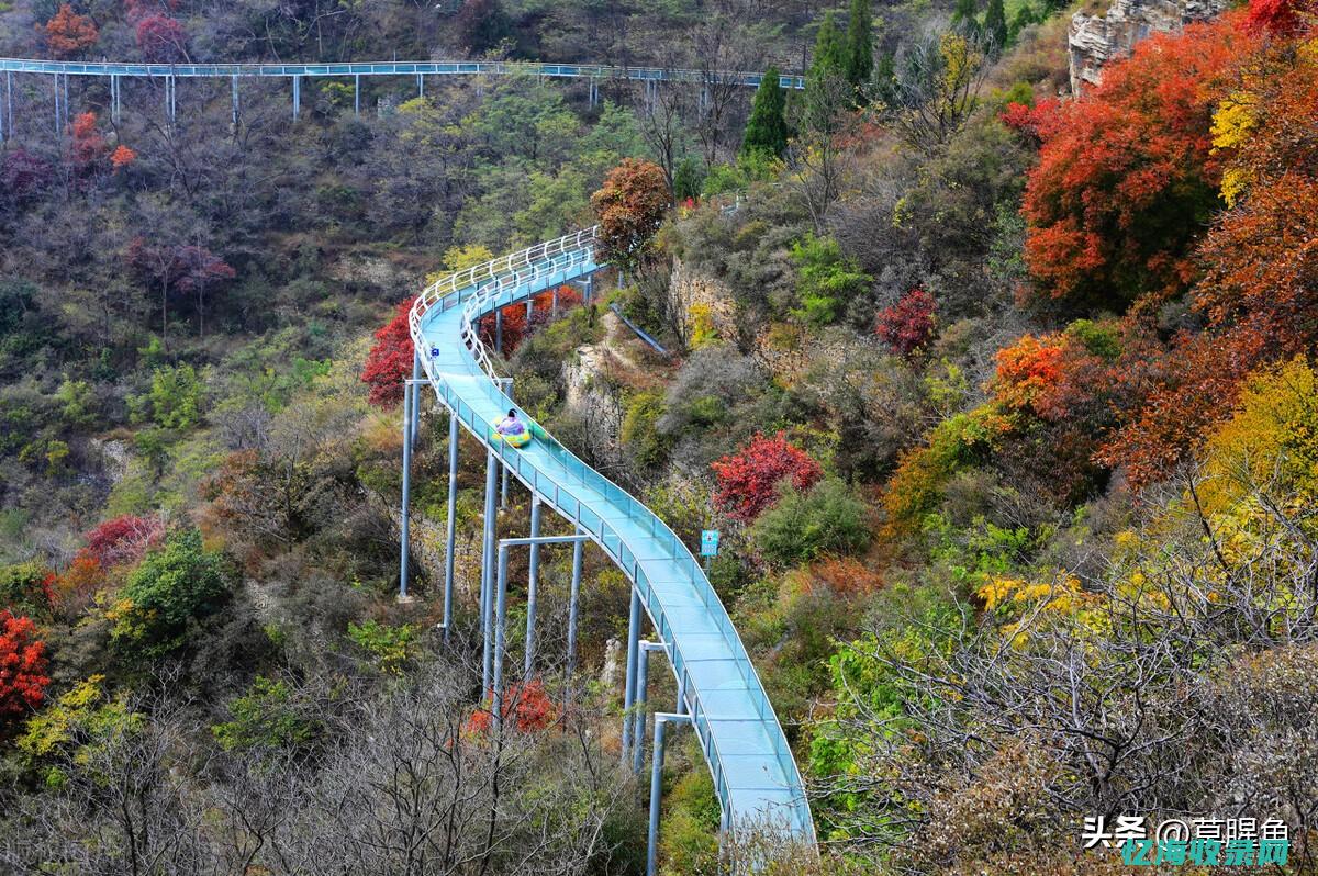 淄博网站seo (淄博网站SEO)