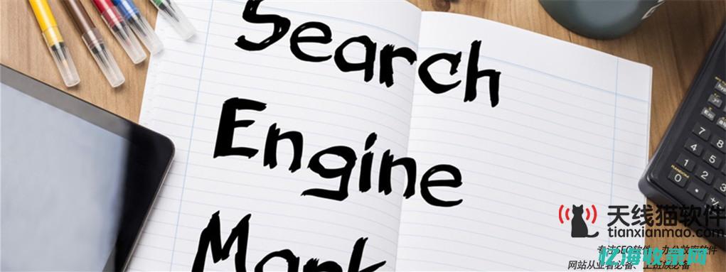 仿牌seo文章收入 (仿牌网站靠什么推广)