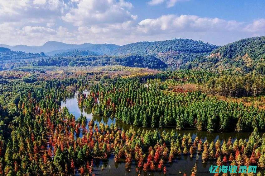 昆明百度森林公园门票 (昆明 森林)