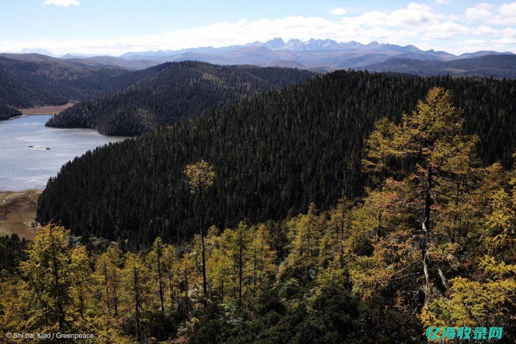 昆明百度森林公园门票 (昆明森林酒店)