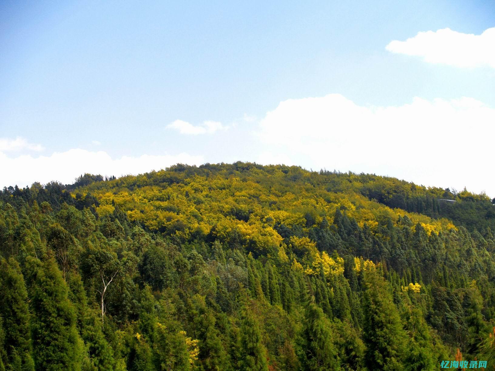 昆明百度森林公园