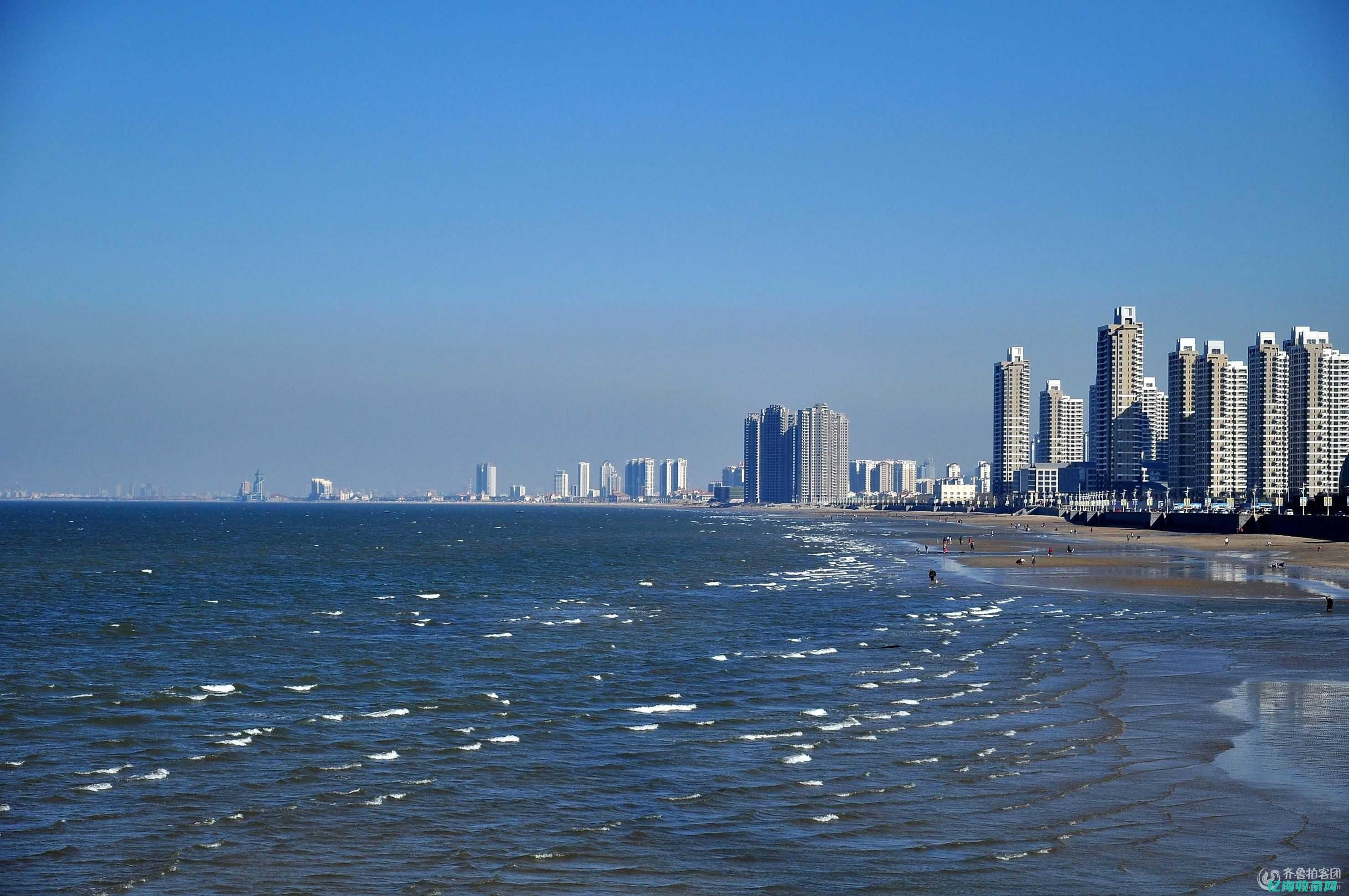 烟台百度搜索 (烟台百度搜索引擎官网)