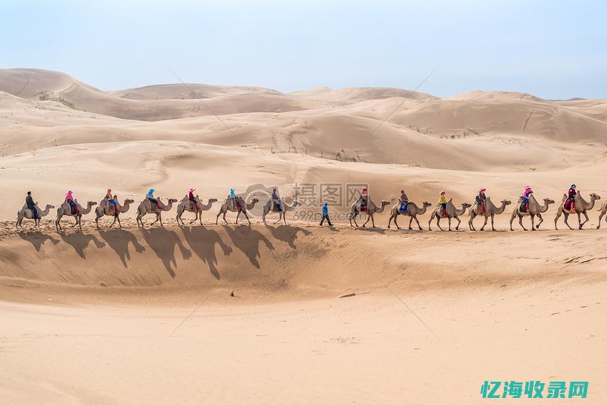 内蒙seo (内蒙色连一矿官网)