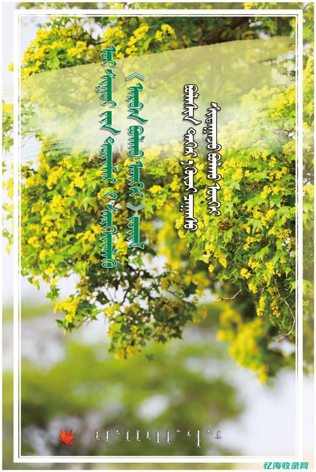 内蒙森林消防 (内蒙森林消防总队长)