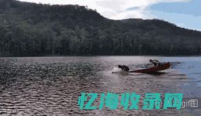 南阳seo推广 (南阳搜索引擎网站开发便宜)