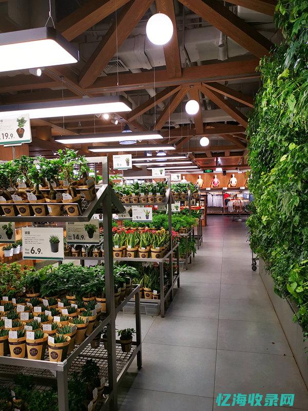 购物森林甄选超市不结款 (购物森林甄选供应链怎么样)