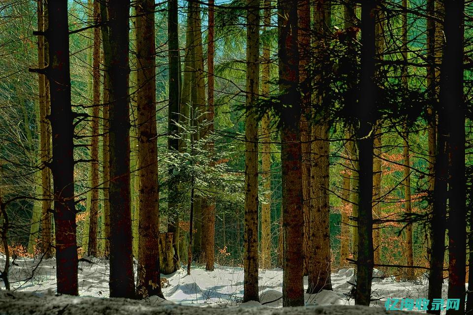 2014森林人钥匙电池型号